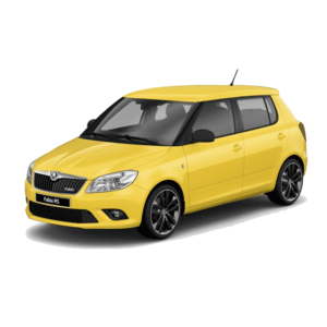Выкуп новых запчастей Skoda Skoda Fabia RS
