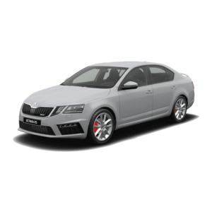 Выкуп новых запчастей Skoda Skoda Octavia RS